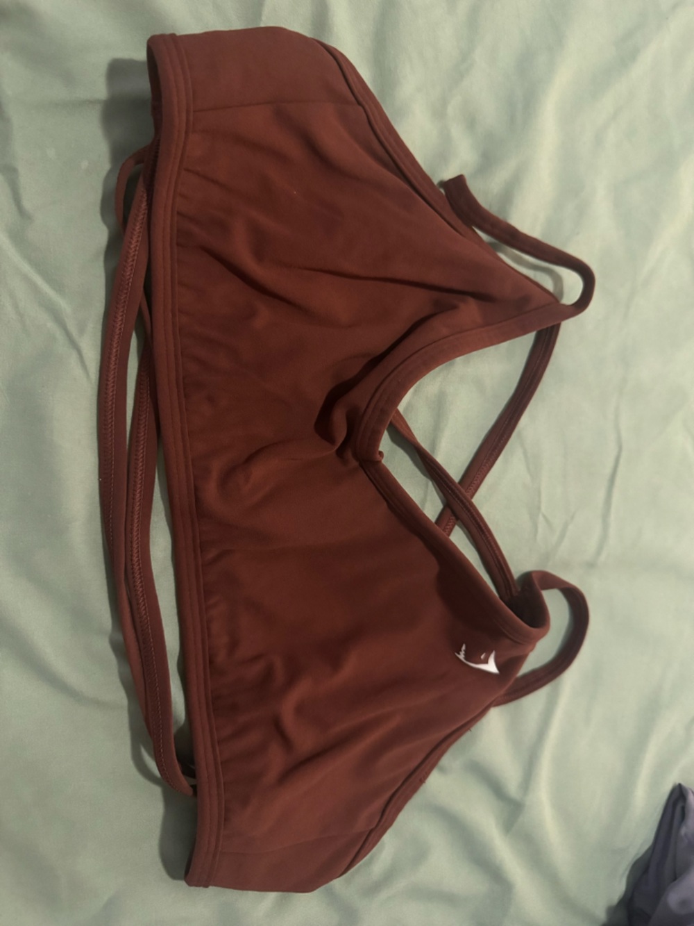 Gym shark sports bra